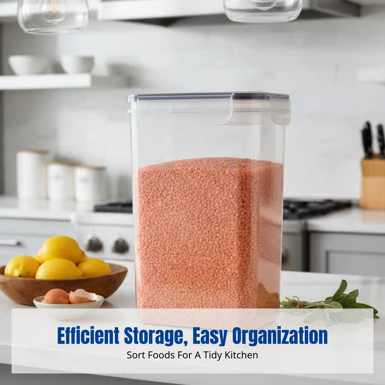 Airtight Food Storage Containe - Food Storage Airtight avis et prix