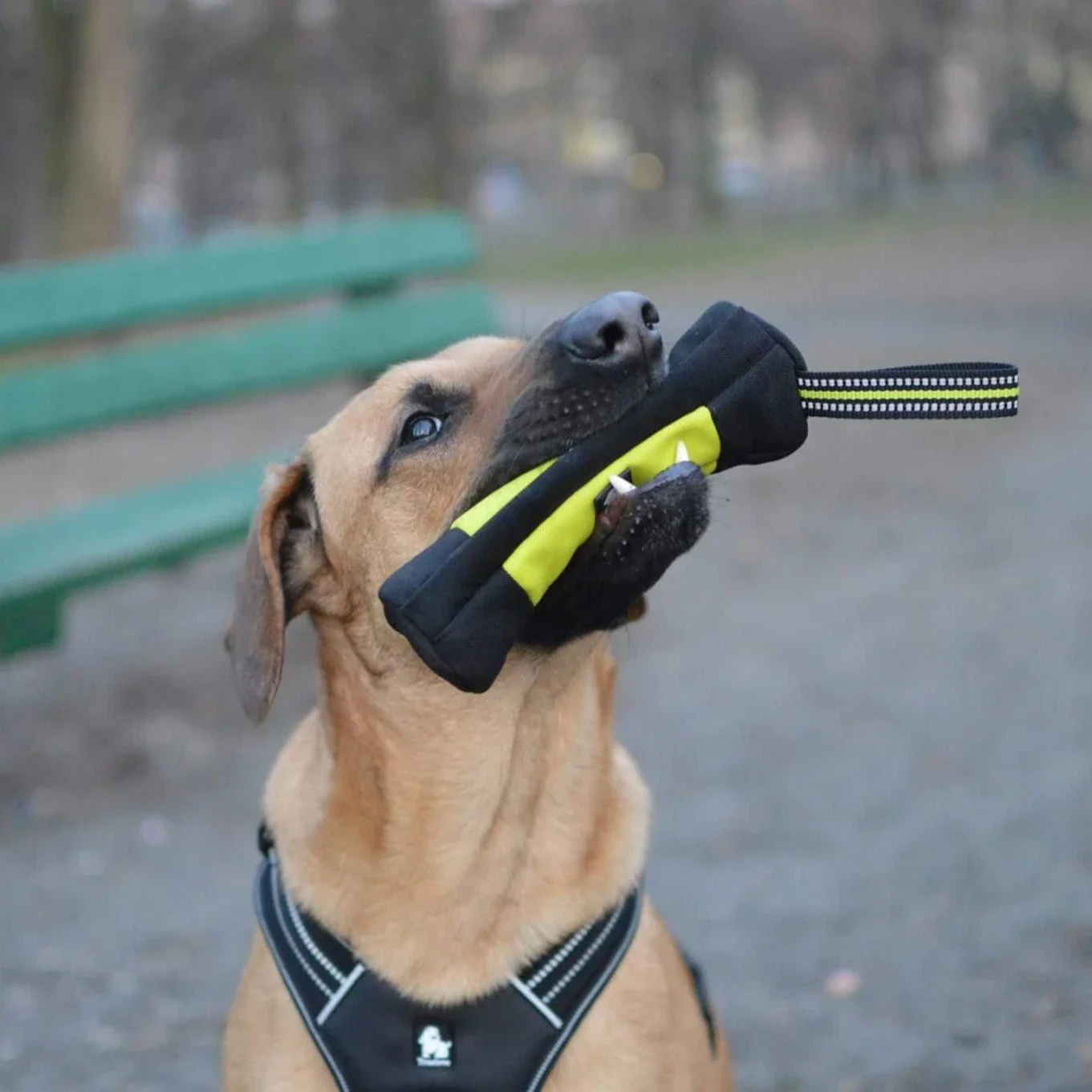 Truelove Dog Training Retrieve - Food Storage Zipper Bags avis et prix