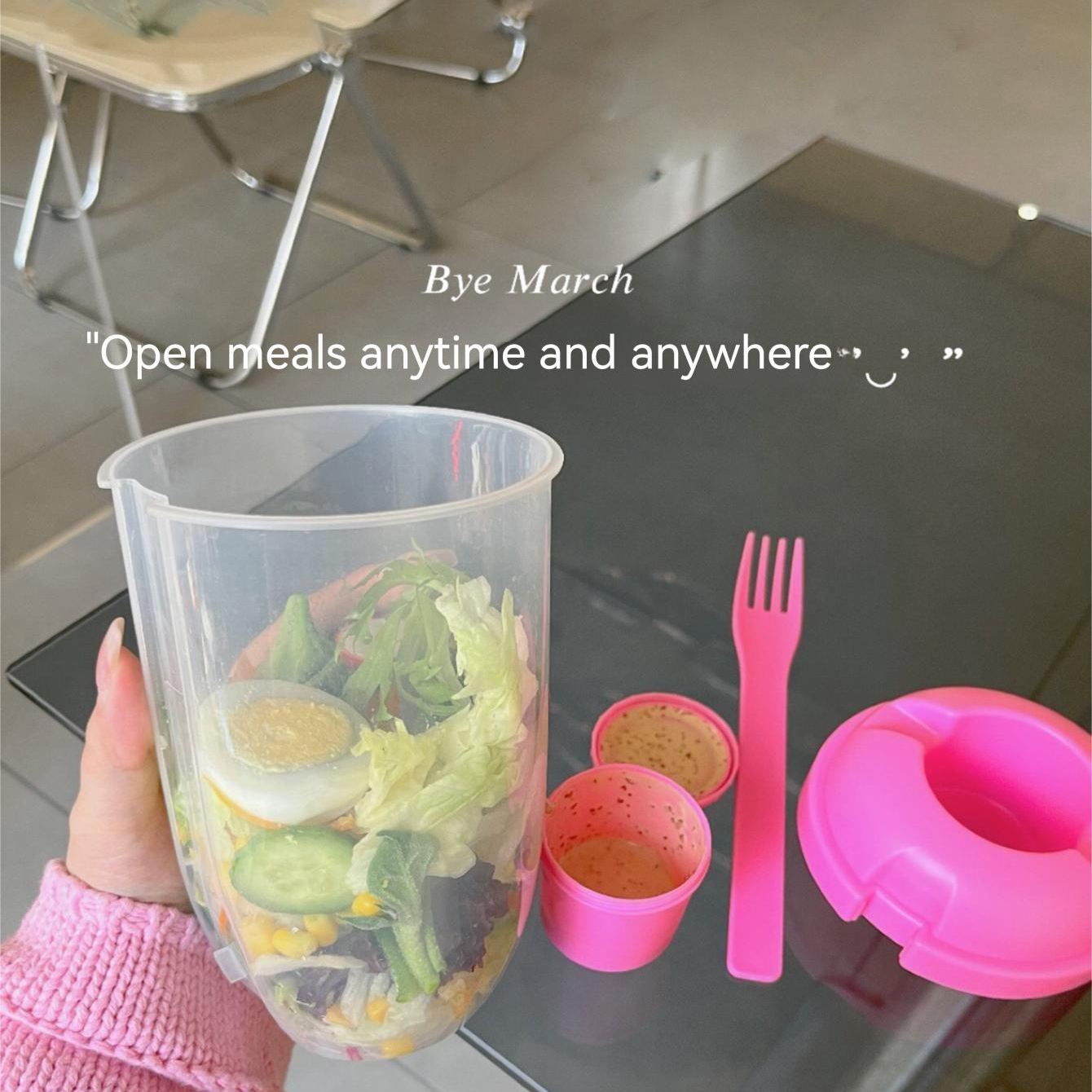 3In1 Portable Salad Cup Breakf - Food Storage Yogurt avis et prix
