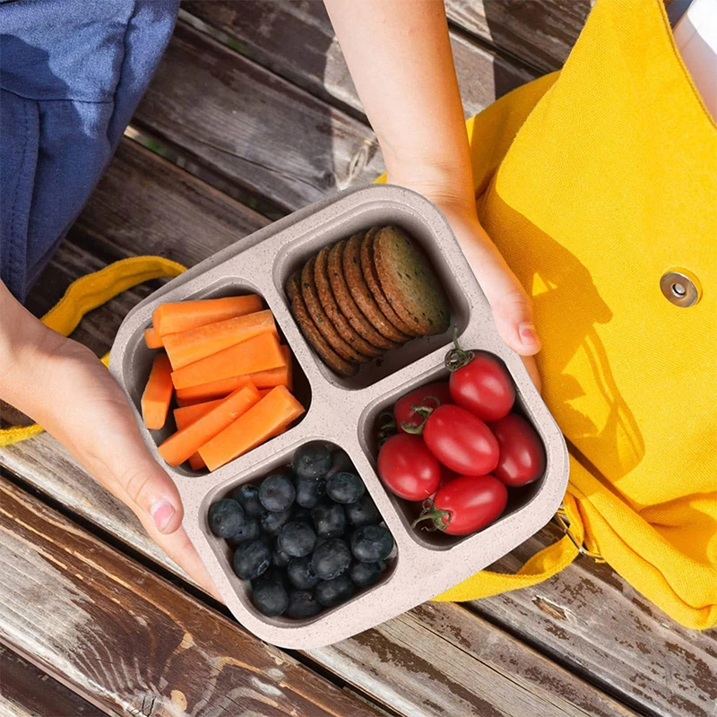 4 Grids Food Storage Box Porta - Food Storage Vegetables avis et prix