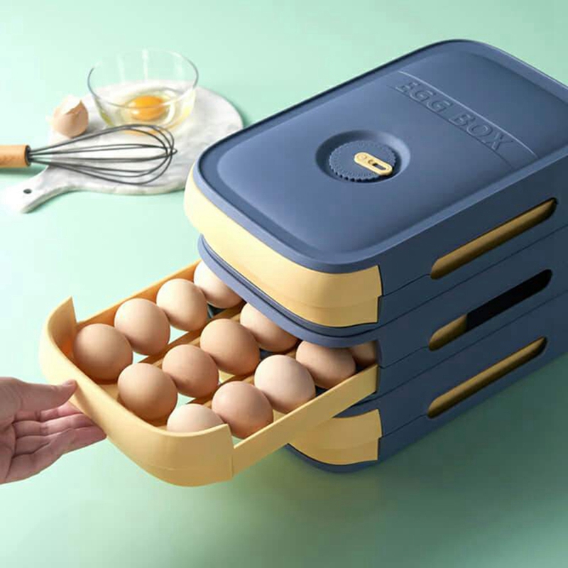 Egg Storage Container Refriger - Food Storage In The Kitchen avis et prix